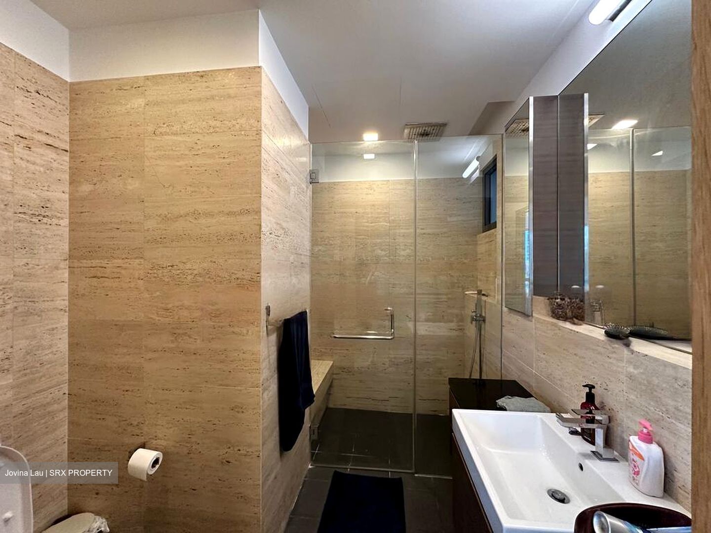 Balmoral Road (D10), Condominium #476188981
